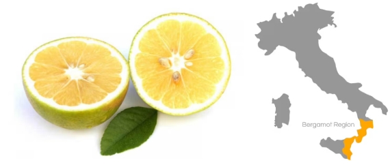 Map of Italy highlighting Calabria, the origin of bergamot fruit